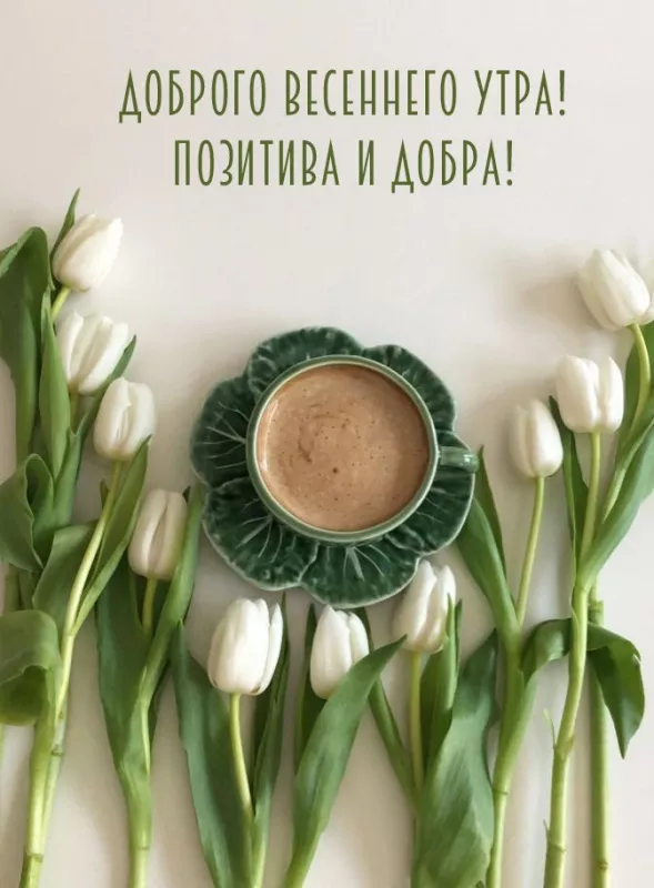 Красивые весенние картинки Доброго утра. Картинки с добрым утром весенние бесплатно