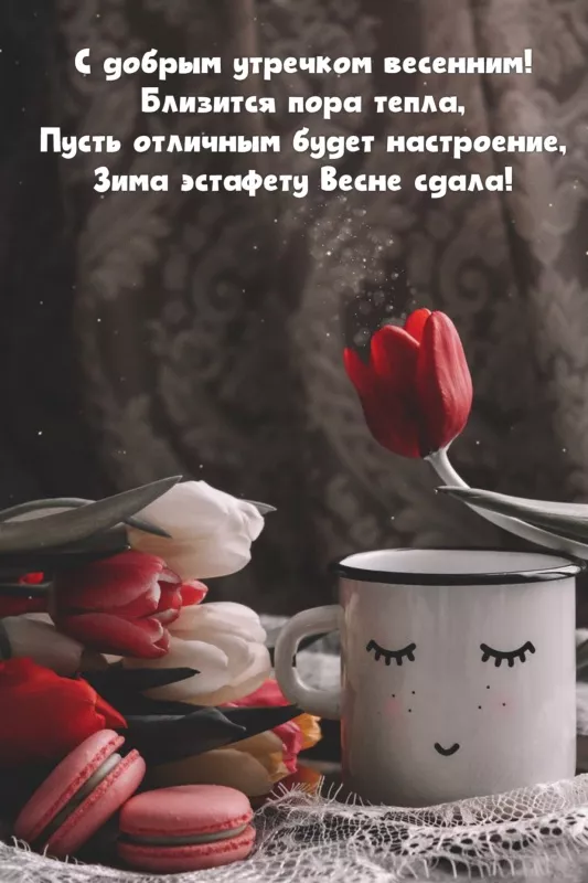 Красивые весенние картинки Доброго утра. Картинки доброе утро весеннего настроения