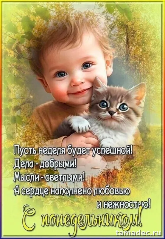 Картинки доброе утро понедельника. Доброе утро удачного понедельника картинки