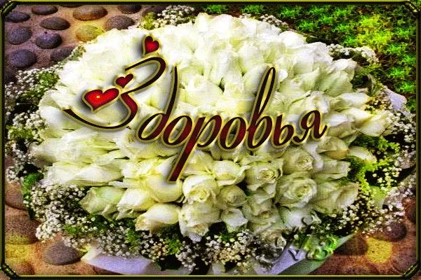 Картинки Доброго здоровья. Картинки доброго здоровья счастья