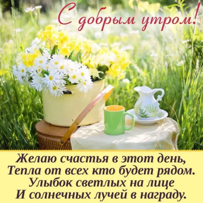 Прикольные картинки Доброе утро . Доброе утро картинки пожелания прикольные
