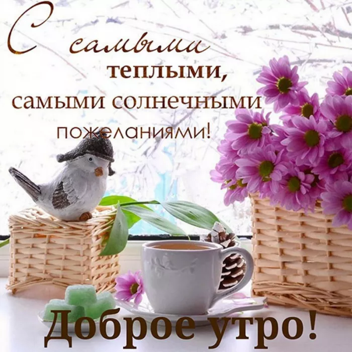 Прикольные картинки Доброе утро . Картинки доброе утро позитивные прикольные поднимающие настроение&nbsp;&nbsp;