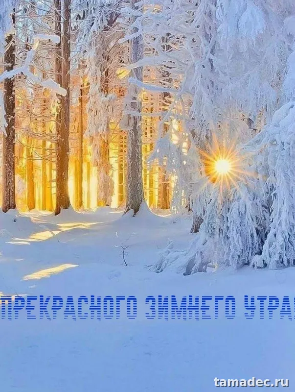 Красивые новогодние картинки Доброе утро. Новогодние картинки с добрым утром