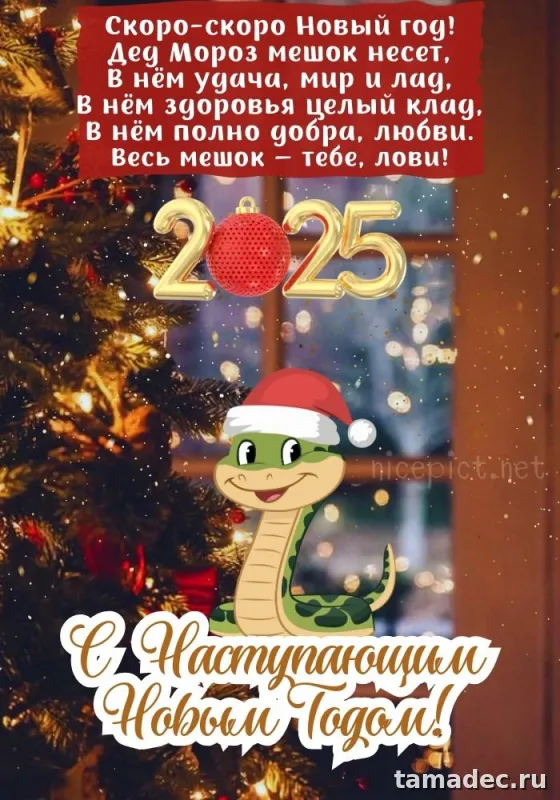 Картинки с наступающем новым годом 2025 . Картинки с новым годом 2025 бесплатно
