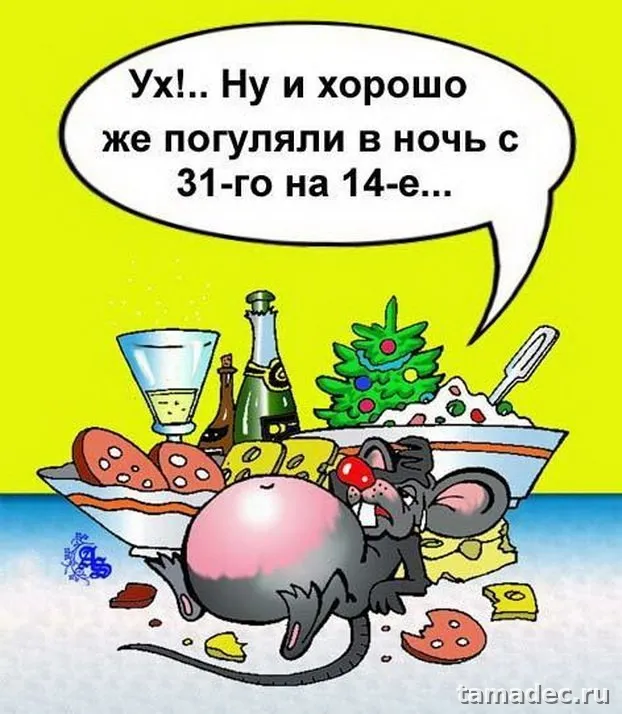Прикольные картинки на Новый год. С новым годом картинки прикольные смешные
