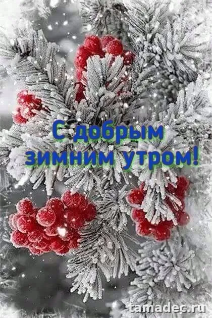 Красивые новогодние картинки Доброе утро. Доброе утро с новым годом картинки красивые бесплатно