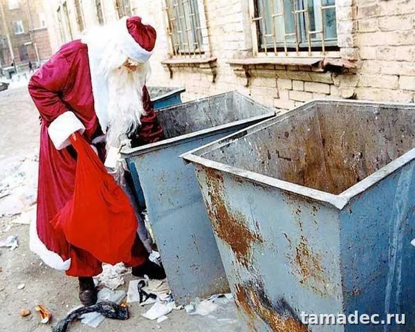 Прикольные картинки на Новый год. С новым годом картинки прикольные смешные
