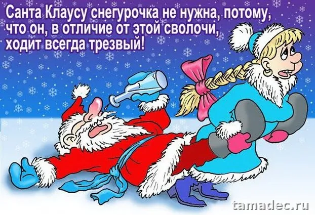 Прикольные картинки на Новый год. С новым годом картинки прикольные смешные