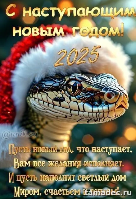 Картинки с наступающем новым годом 2025 . Картинки с новым годом 2025 бесплатно