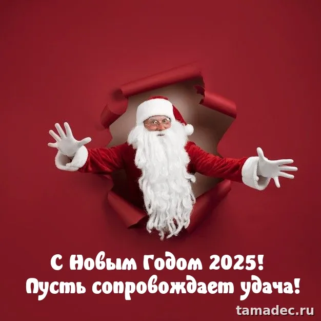 Картинки с наступающем новым годом 2025 . Картинки с новым 2025 годом змеи