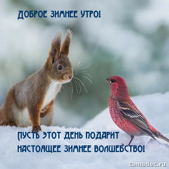 Красивые новогодние картинки Доброе утро. Новогодние картинки с добрым утром