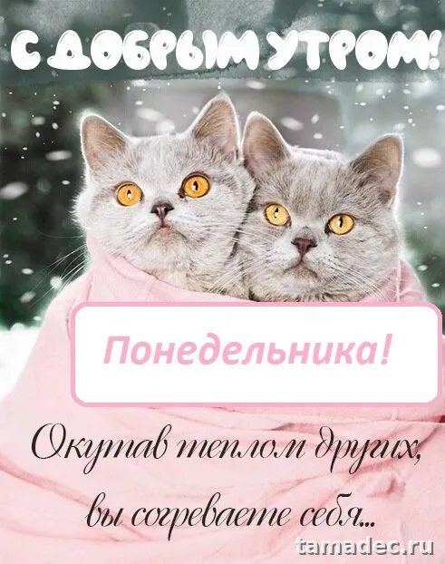 Картинки доброе утро понедельника. Картинки с добрым утром понедельника зимние