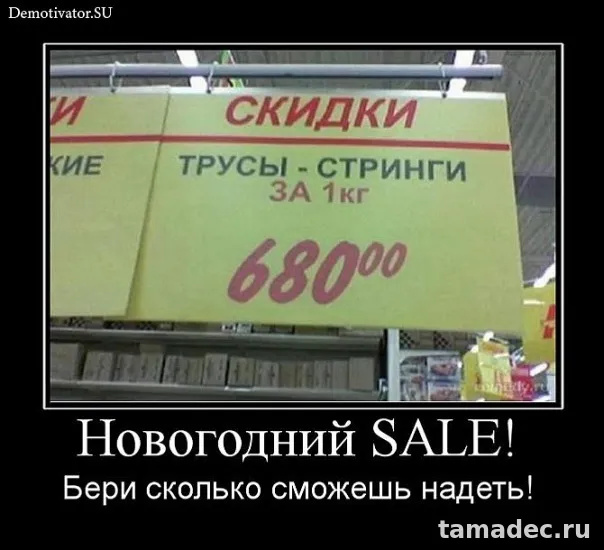 Прикольные картинки на Новый год. С новым годом картинки прикольные смешные