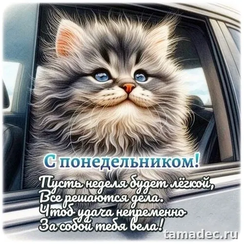 Картинки доброе утро понедельника. Картинки с добрым утром понедельника зимние