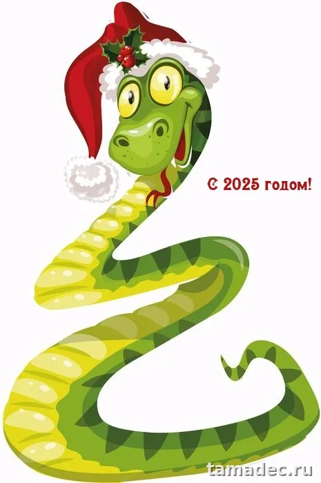 Картинки с наступающем новым годом 2025 . Картинки с новым 2025 годом змеи