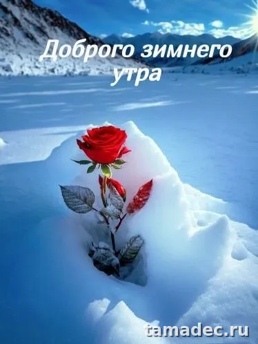 Красивые новогодние картинки Доброе утро. Доброе утро с новым годом картинки красивые