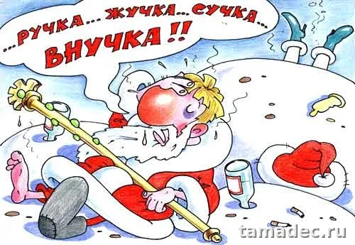 Прикольные картинки на Новый год. Прикольные картинки с наступающим новым годом