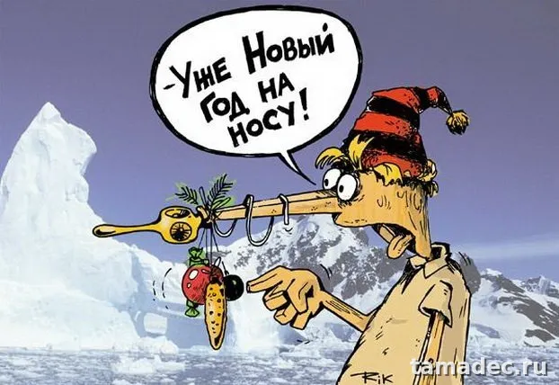 Прикольные картинки на Новый год. С новым годом картинки прикольные смешные