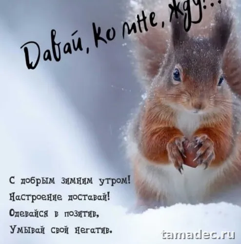 Красивые новогодние картинки Доброе утро. Доброе утро с новым годом картинки красивые