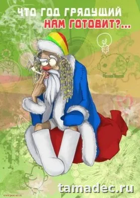 Прикольные картинки на Новый год. Прикольные картинки с наступающим новым годом