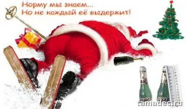 Прикольные картинки на Новый год. С новым годом картинки прикольные смешные