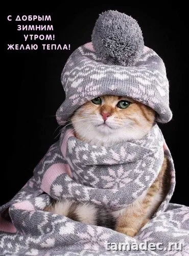 Красивые новогодние картинки Доброе утро. Доброе утро с новым годом картинки красивые бесплатно