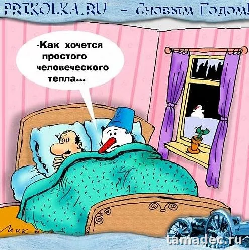 Прикольные картинки на Новый год. Прикольные картинки с наступающим новым годом