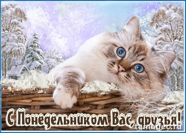 Картинки доброе утро понедельника. Картинки с добрым утром понедельника зимние