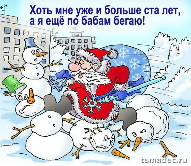Прикольные картинки на Новый год. С новым годом картинки прикольные смешные
