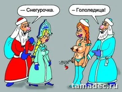 Прикольные картинки на Новый год. Прикольные картинки с наступающим новым годом