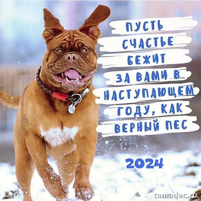 Картинки с наступающем новым годом 2025 . Картинки с новым годом 2025 бесплатно