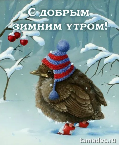 Красивые новогодние картинки Доброе утро. Доброе утро с новым годом картинки красивые бесплатно