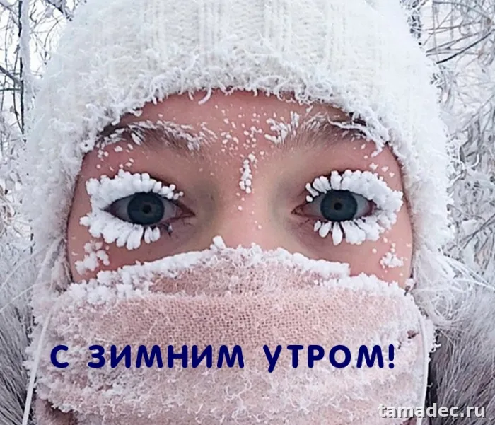 Красивые новогодние картинки Доброе утро. Новогодние картинки с добрым утром