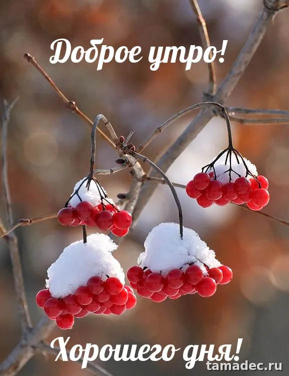 Красивые новогодние картинки Доброе утро. Новогодние картинки с добрым утром