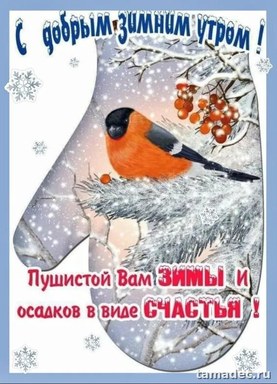 Красивые новогодние картинки Доброе утро. Доброе утро с новым годом картинки красивые бесплатно