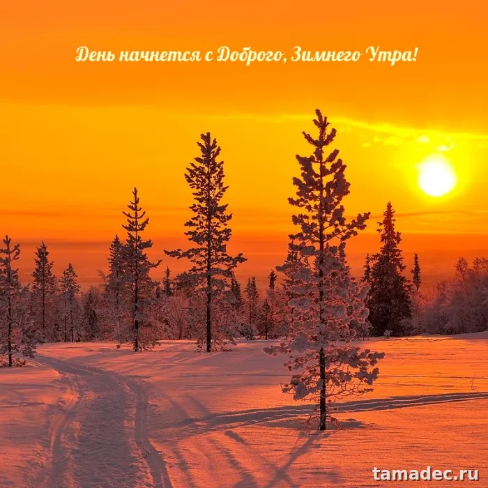 Красивые новогодние картинки Доброе утро. Новогодние картинки с добрым утром