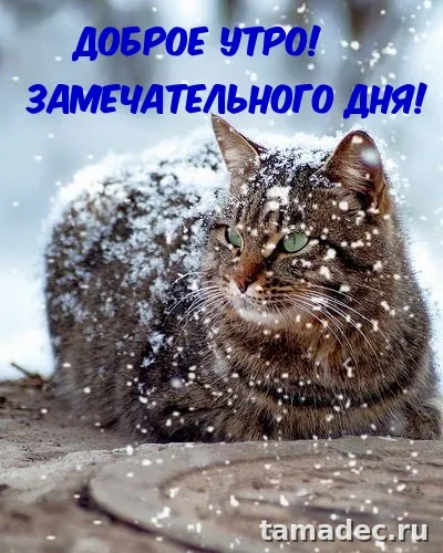 Красивые новогодние картинки Доброе утро. Новогодние картинки с добрым утром