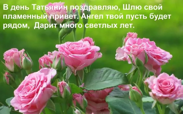 Красивые открытки на Татьянин День. Картинки с пожеланием с днем Татьяны