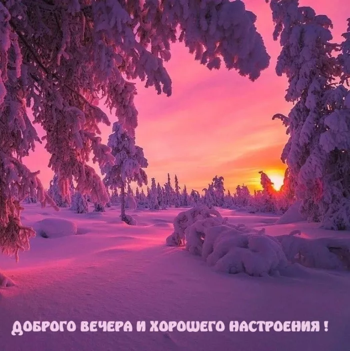 Картинки и гифки Доброго зимнего вечера. Зимнего настроения картинки доброго вечера