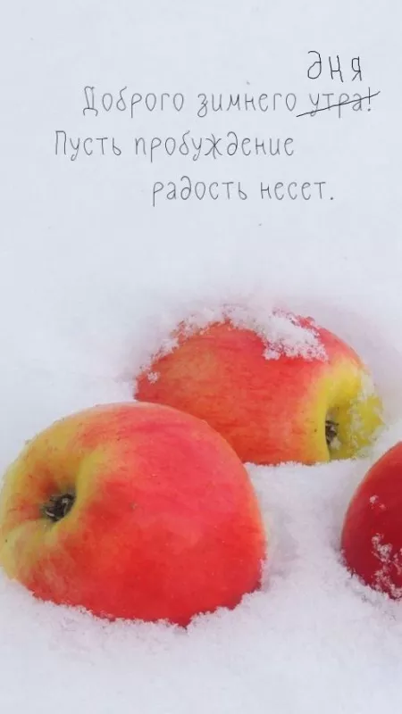 Картинки и гифки Доброго зимнего вечера. Хорошего зимнего вечера картинки