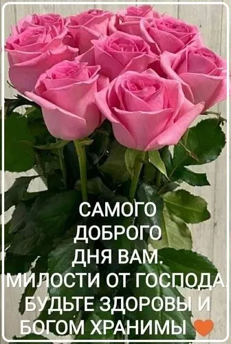 Картинки Доброго зимнего дня. Картинки пожелания хорошего зимнего дня