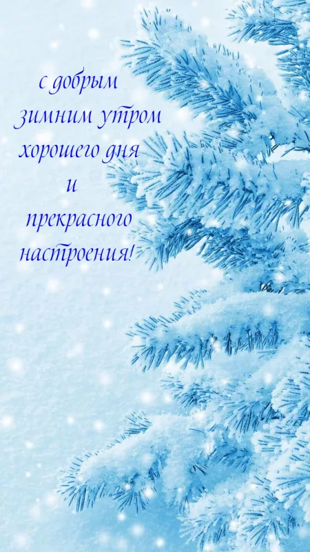 Картинки Доброго зимнего дня. Доброго дня картинки пожелания новые зимние