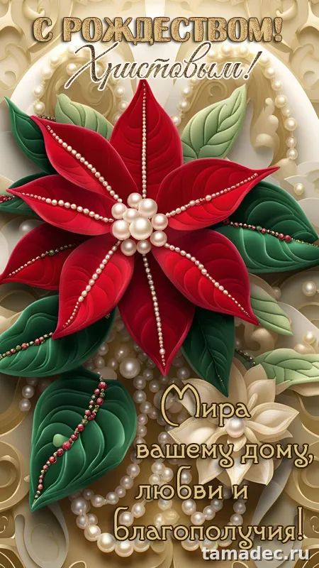 Картинки с Рождеством Христовым. С наступающим новым и рождеством картинки