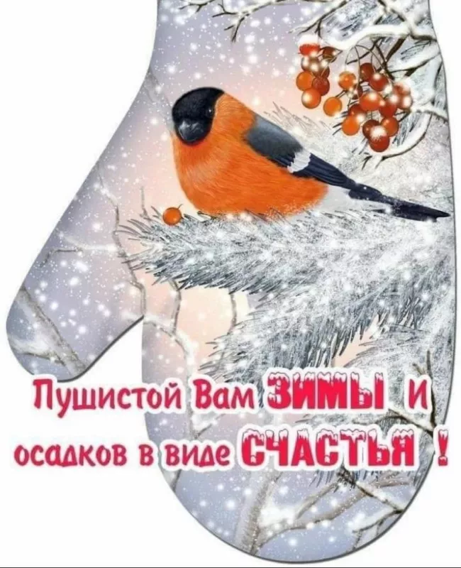 Картинки Доброго зимнего дня. Добрый зимний день картинки красивые