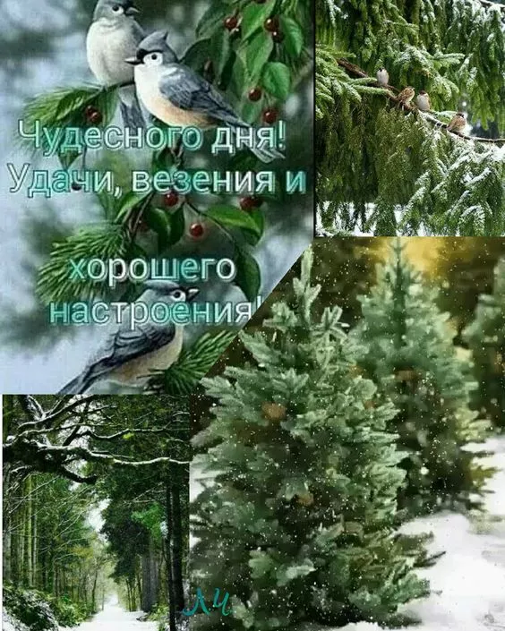 Картинки и гифки Доброго зимнего вечера. Красивый зимний вечер картинки