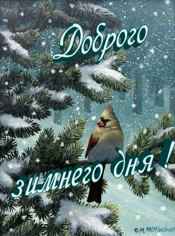Картинки Доброго зимнего дня. Хорошего дня зимнего картинки красивые доброго