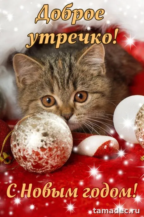 Красивые новогодние картинки Доброе утро. Доброе зимнее утро картинки