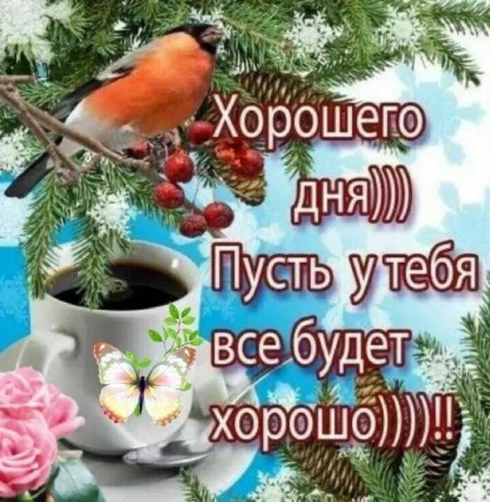 Картинки Доброго зимнего дня. Добрый зимний день картинки красивые