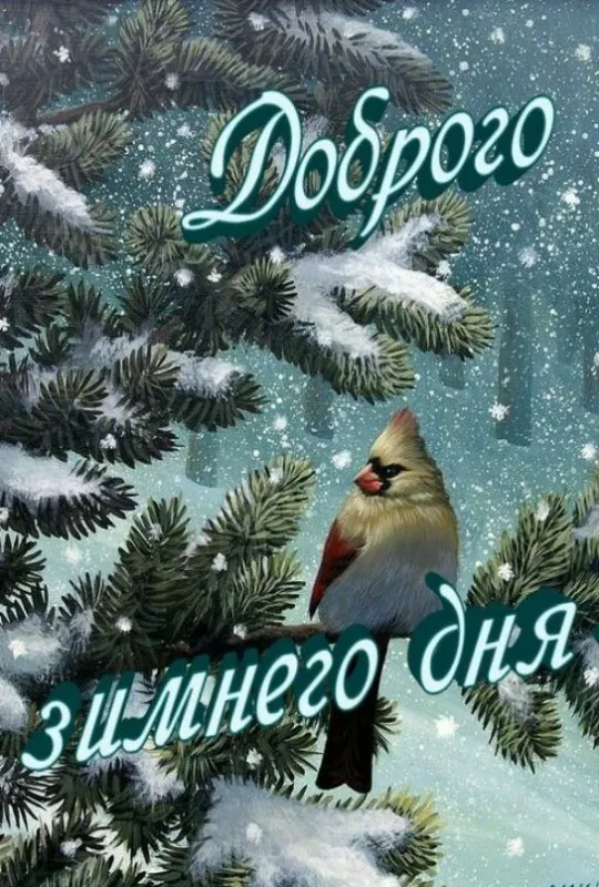 Картинки Доброго зимнего дня. Хорошего дня зимнего картинки красивые доброго