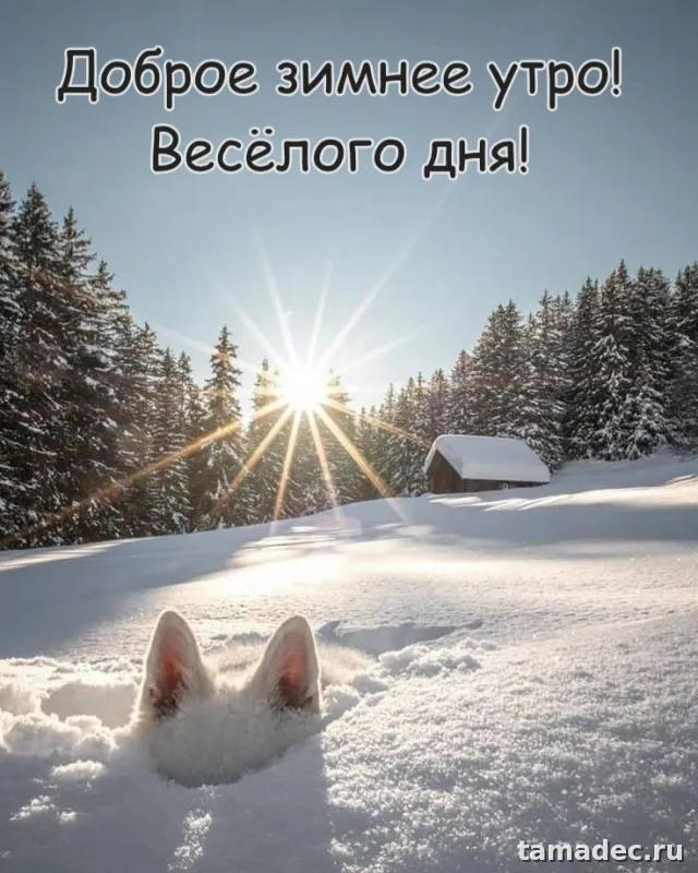 Красивые новогодние картинки Доброе утро. Доброе зимнее утро картинки